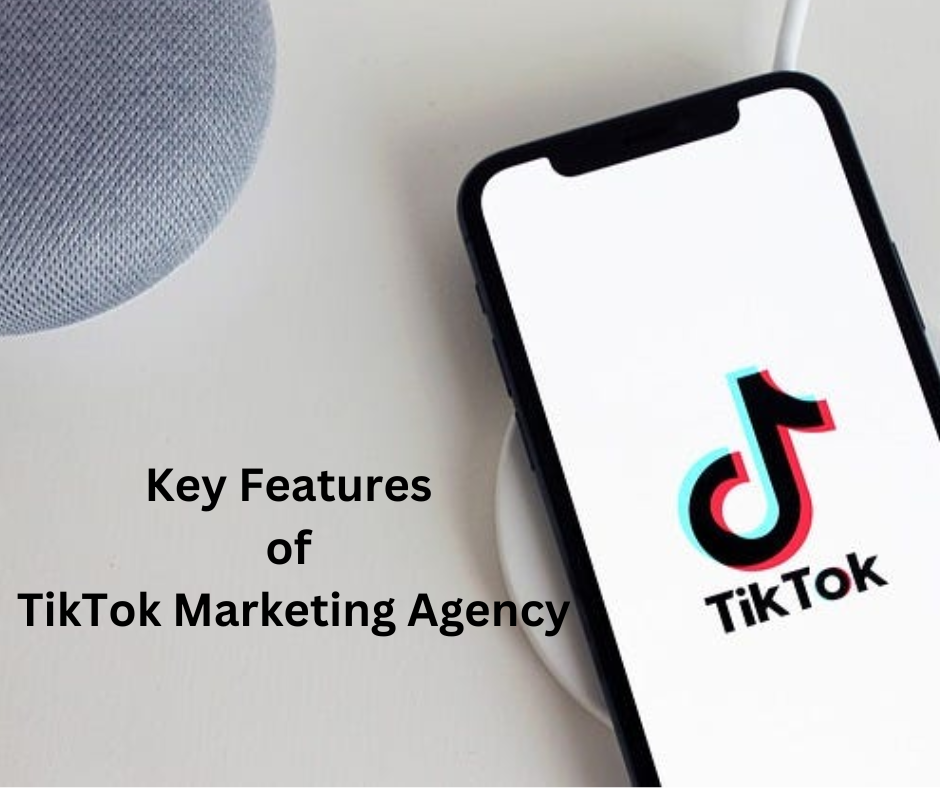 key features of TikTok Marketing Agency